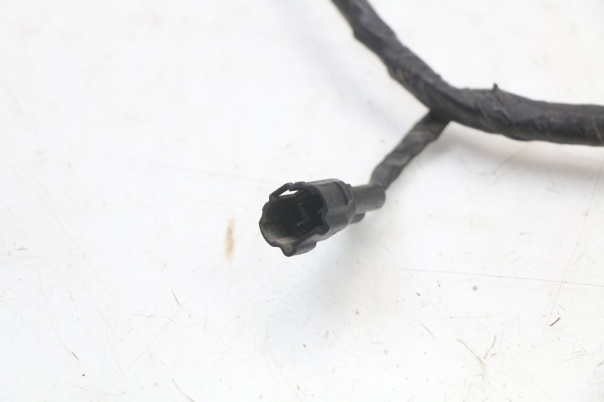 photo de IMPIANTO ELETTRICO YAMAHA XVS DRAG STAR DRAGSTAR 650 (1997 - 2007) - Caratteristiche distintive