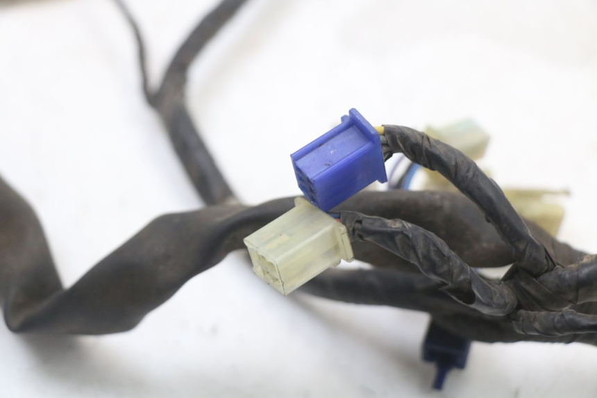 photo de IMPIANTO ELETTRICO YAMAHA XVS DRAG STAR DRAGSTAR 650 (1997 - 2007) - Dettagli dei punti di fissaggio