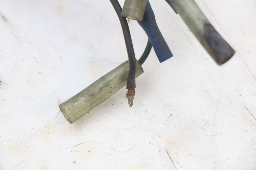 photo de IMPIANTO ELETTRICO YAMAHA XVS DRAG STAR DRAGSTAR 650 (1997 - 2007) - Marcature e riferimenti originali