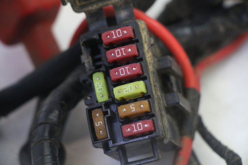 photo de IMPIANTO ELETTRICO YAMAHA YFM GRIZZLY 550 (2008 - 2015) - Altra vista dell'articolo