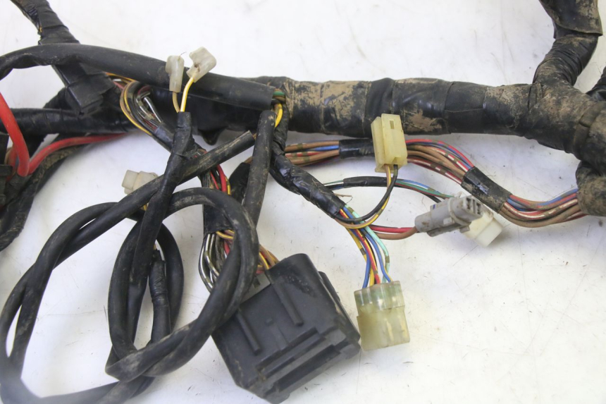 photo de IMPIANTO ELETTRICO YAMAHA YFM GRIZZLY 550 (2008 - 2015) - Ricambio usato controllato