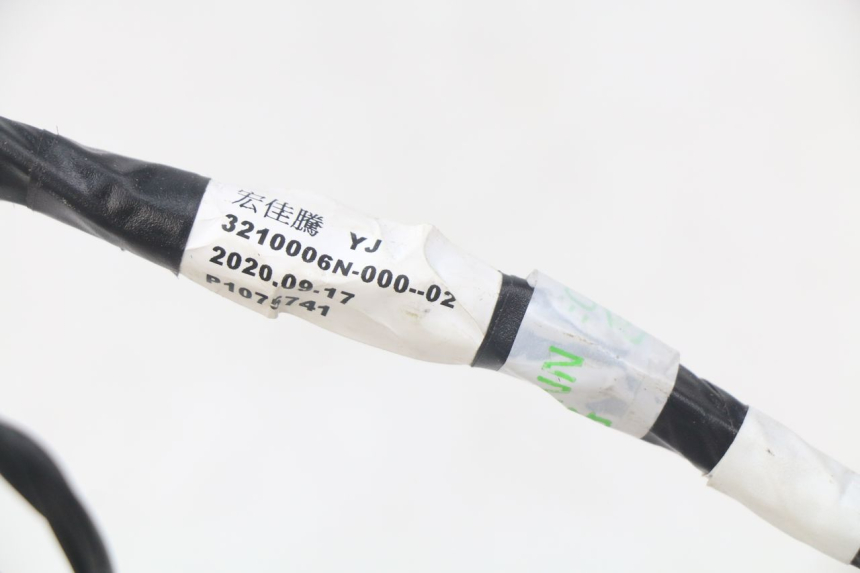 photo de FAISCEAU YAMAHA YFM R RAPTOR 90 (2017 - 2023) - Dettaglio del componente