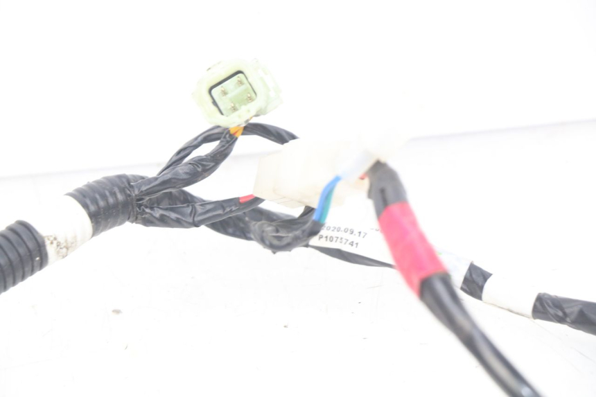 photo de FAISCEAU YAMAHA YFM R RAPTOR 90 (2017 - 2023) - Altra angolazione