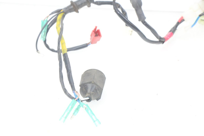 photo de FAISCEAU YAMAHA YFM R RAPTOR 90 (2017 - 2023) - Dettagli dei punti di fissaggio