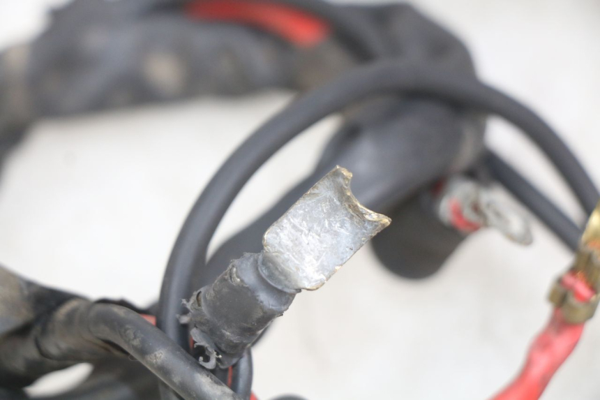 photo de FAISCEAU YAMAHA YP MAJESTY 125 (1998 - 2001) - Dettagli dei punti di fissaggio