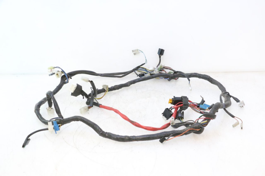 photo de FAISCEAU YAMAHA YP MAJESTY 125 (2007 - 2010) - Caratteristiche distintive