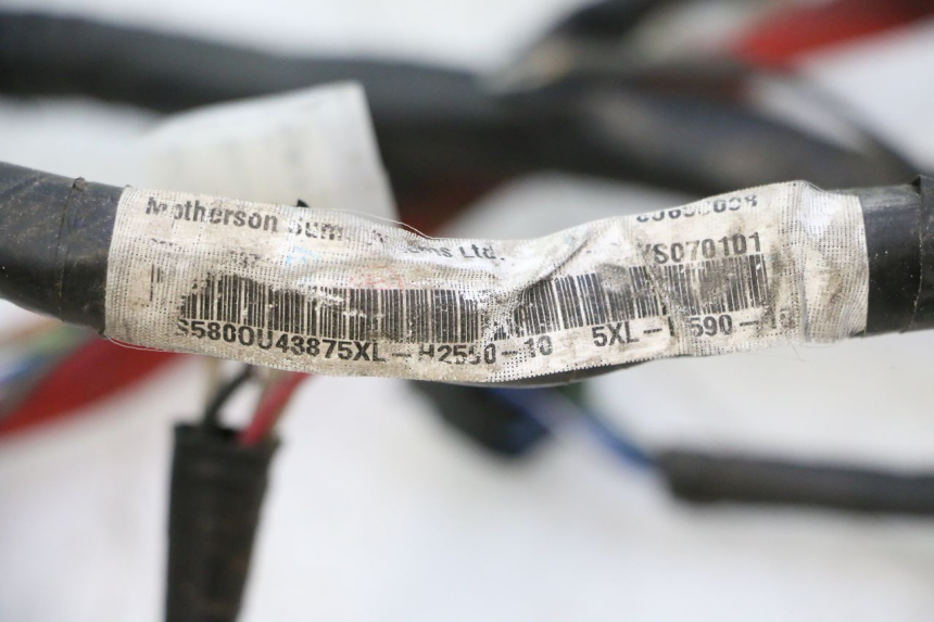 photo de FAISCEAU YAMAHA YP MAJESTY 125 (2007 - 2010) - Altra angolazione