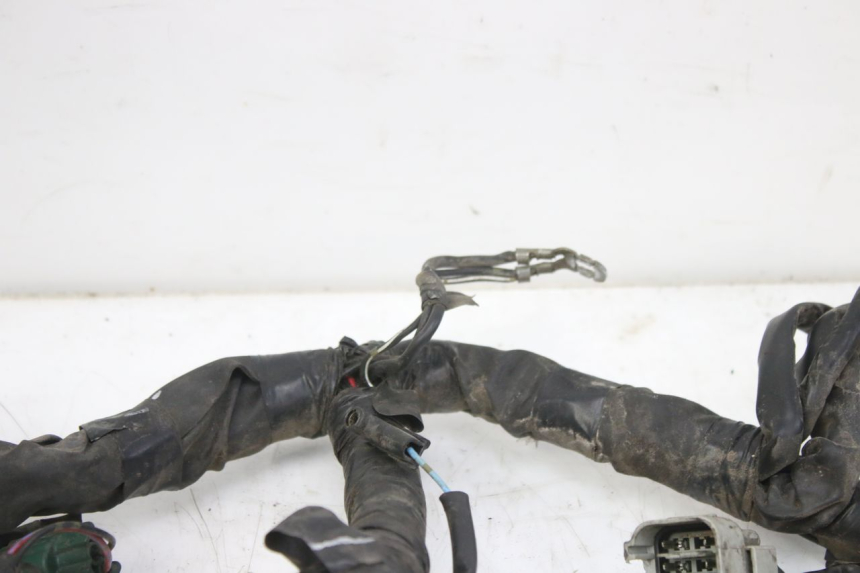 photo de FAISCEAU YAMAHA YZF R1 1000 (2007 - 2008) - Caratteristiche distintive