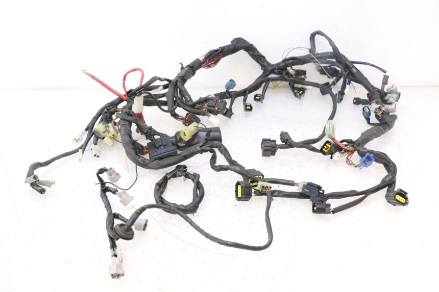 photo de IMPIANTO ELETTRICO YAMAHA YZF R6 600 (2008 - 2009) - Vista principale