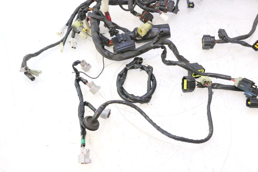 photo de IMPIANTO ELETTRICO YAMAHA YZF R6 600 (2008 - 2009) - Dettaglio del componente