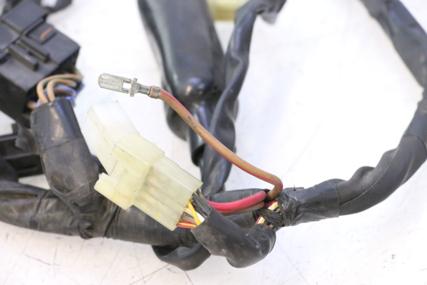 photo de IMPIANTO ELETTRICO YAMAHA YZF R6 600 (2008 - 2009) - Focus sulla struttura