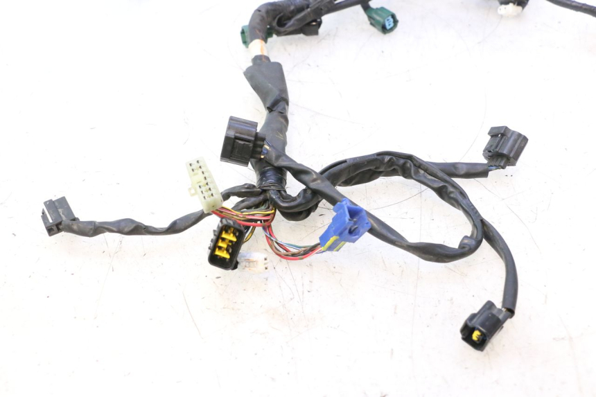 photo de IMPIANTO ELETTRICO YAMAHA YZF R6 600 (2008 - 2009) - Dettaglio del componente