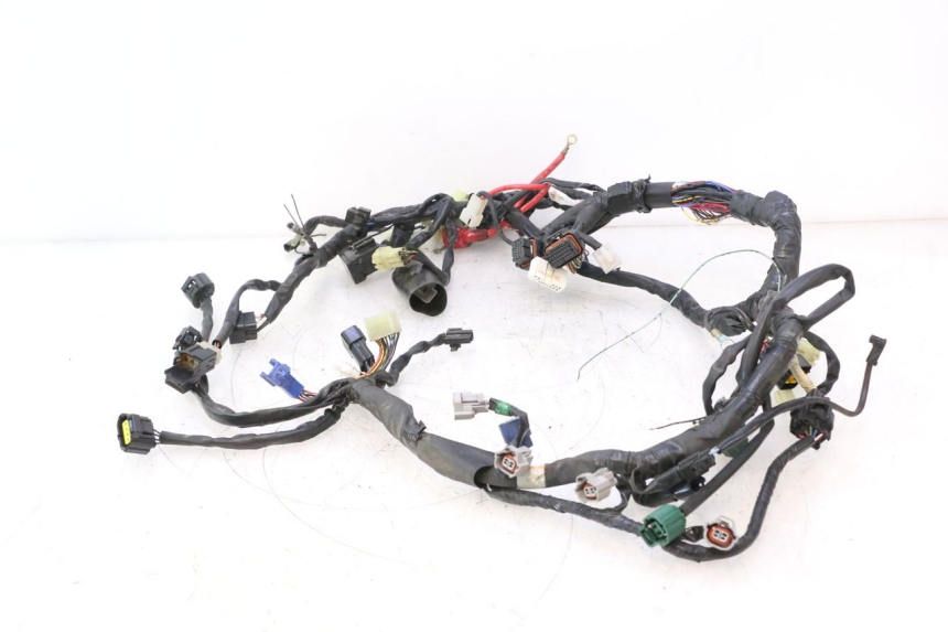 photo de IMPIANTO ELETTRICO YAMAHA YZF R6 600 (2008 - 2009) - Altra angolazione