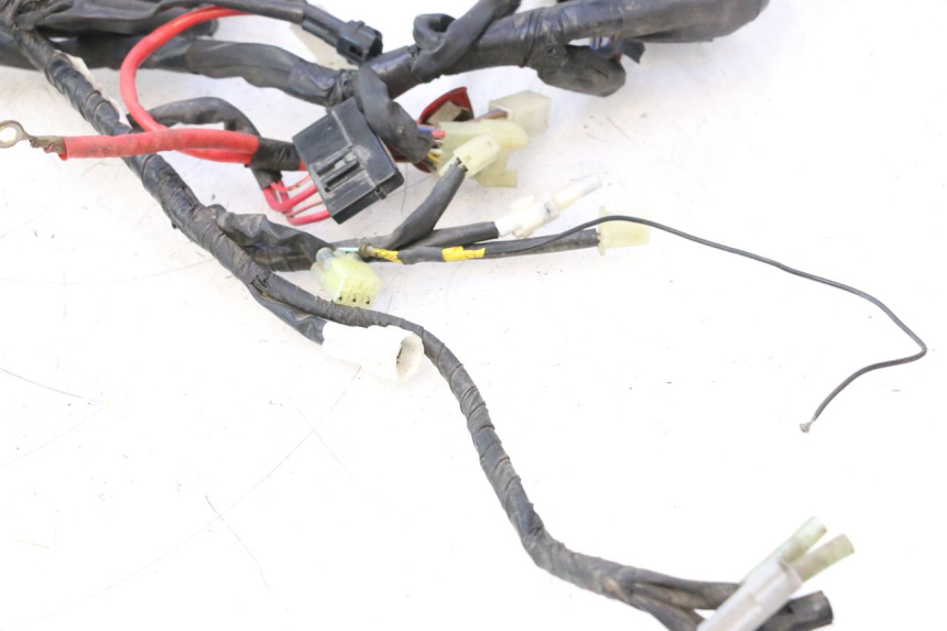 photo de IMPIANTO ELETTRICO YAMAHA YZF R6 600 (2008 - 2009) - Vista d'insieme del prodotto