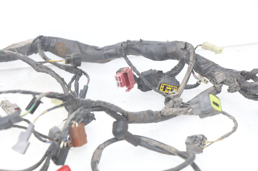 photo de FAISCEAU KAWASAKI Z S 750 (2003 - 2006) - Caratteristiche distintive