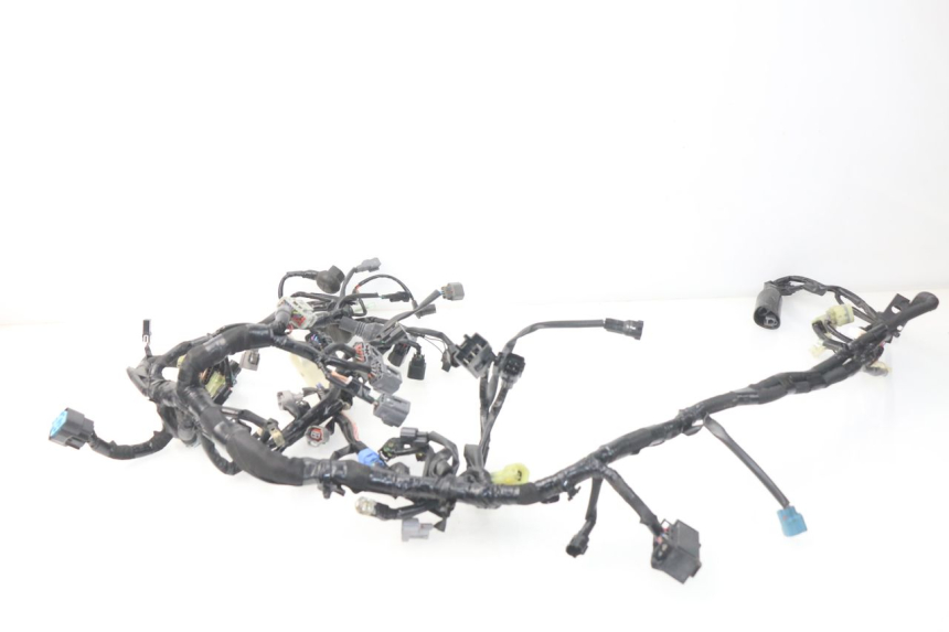 photo de Cablaggio KAWASAKI Z Z900 900 (2017 - 2019) - Ispezione visiva dettagliata