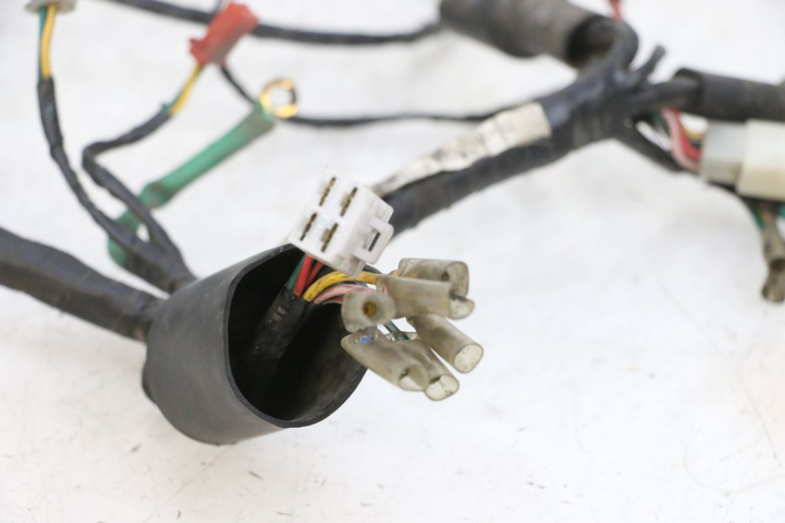 photo de IMPIANTO ELETTRICO KYMCO ZING 125 (1997 - 2003) - Vista d'insieme del prodotto