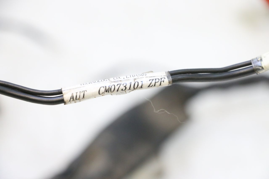 photo de FAISCEAU PIAGGIO ZIP 2T 50 (2009 - 2019) - Dettaglio del componente