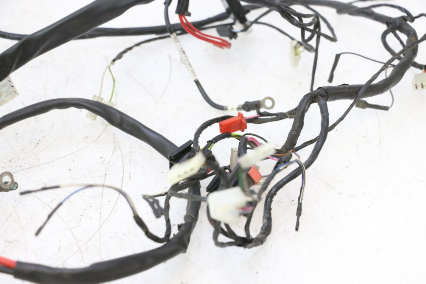 photo de FAISCEAU PIAGGIO ZIP 2T 50 (2009 - 2019) - Primo piano tecnico