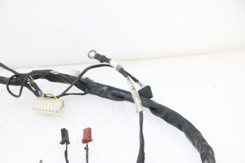 photo de FAISCEAU PIAGGIO ZIP 2T 50 (2009 - 2019) - Marcature e riferimenti originali