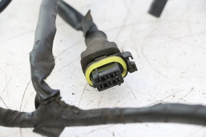photo de FAISCEAU PIAGGIO ZIP 2T 50 (2009 - 2019) - Caratteristiche distintive