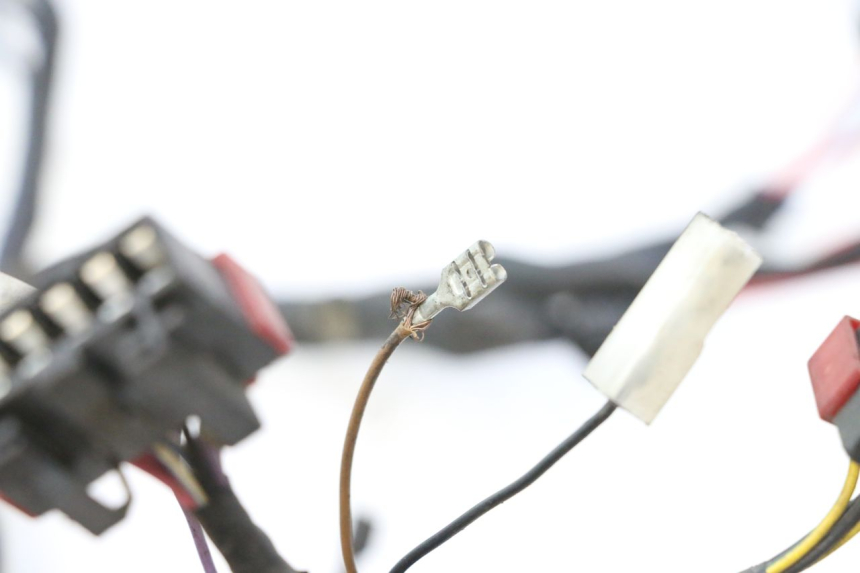 photo de FAISCEAU PIAGGIO ZIP 2T 50 (2009 - 2019) - Ispezione visiva dettagliata
