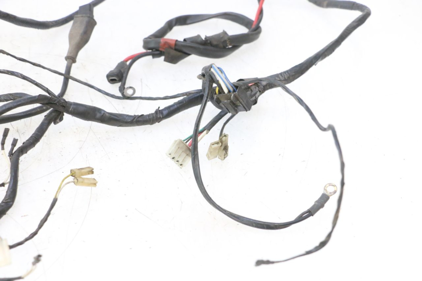 photo de IMPIANTO ELETTRICO PIAGGIO ZIP 4T 50 (2006 - 2017) - Altra vista dell'articolo