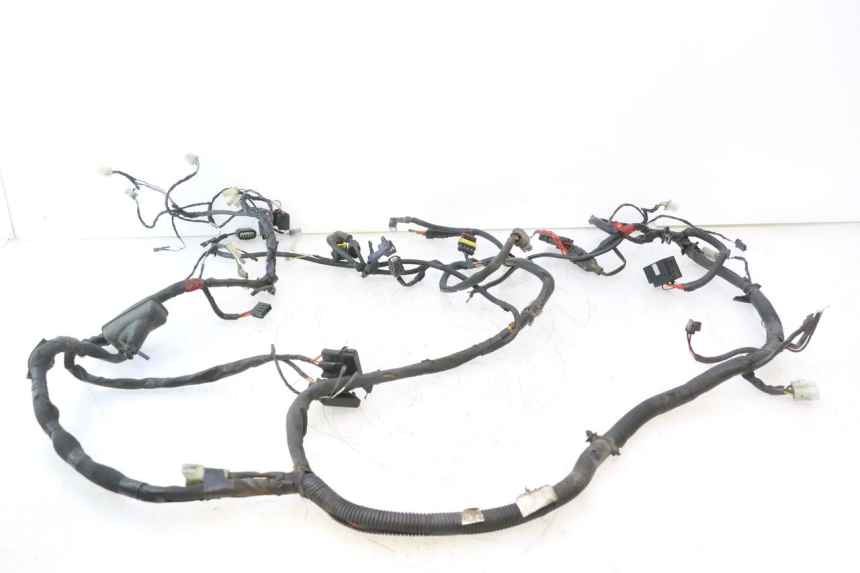 photo de FAISCEAU PIAGGIO ZIP 4T 50 (2018 - 2020) - Marcature e riferimenti originali