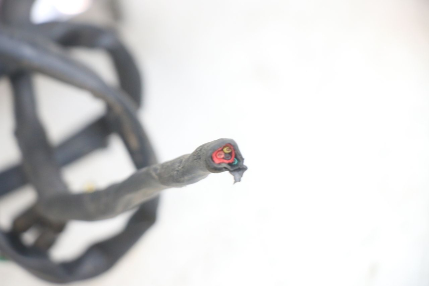 photo de FANALE POSTERIORE HONDA CA REBEL 125 (1995 - 2001) - Dettagli dei punti di fissaggio