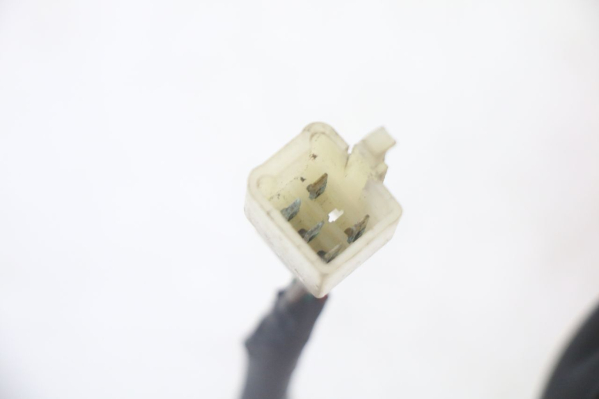 photo de FANALE POSTERIORE SYM CROX 4T 50 (2016 - 2023) - Caratteristiche distintive