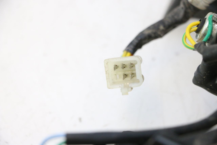 photo de FANALE POSTERIORE PEUGEOT KISBEE 4T 50 (2018 - 2022) - Primo piano tecnico