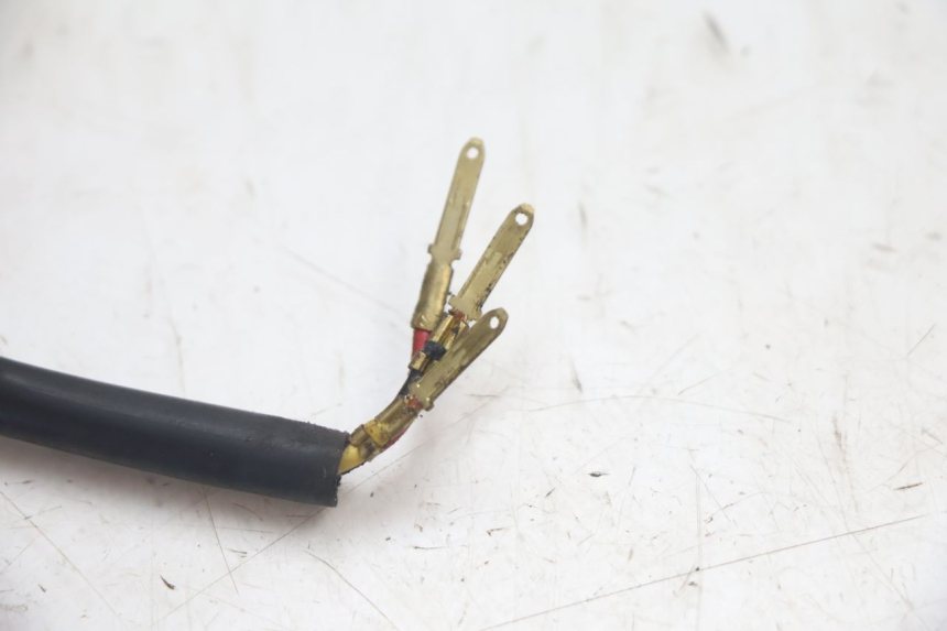 photo de FANALE STOP POSTERIORE  PEUGEOT LUDIX SNAKE 2T 50 (2004 - 2014) - Ricambio usato controllato