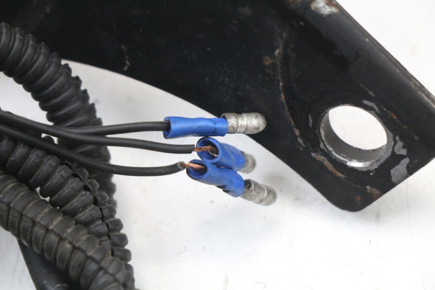 photo de FANALE STOP POSTERIORE  HARLEY DAVIDSON SPORTSTER XL CUSTOM 1200 (2003 - 2004) - Dettagli dei punti di fissaggio