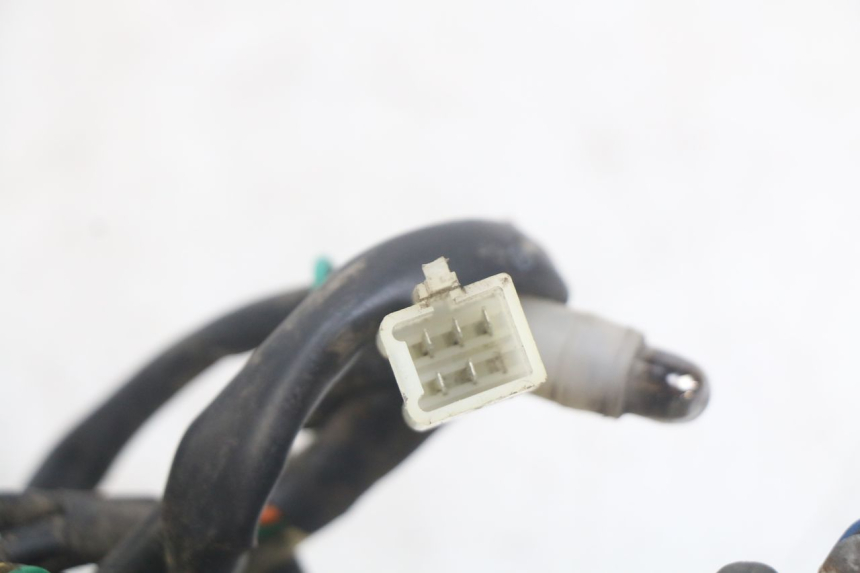 photo de FANALE POSTERIORE PEUGEOT TWEET 4T 50 (2010 - 2014) - Dettaglio del componente