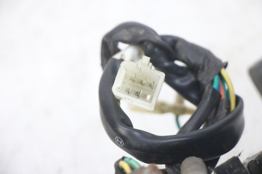 photo de FANALE POSTERIORE PEUGEOT TWEET 4T 50 (2014 - 2019) - Dettaglio del componente