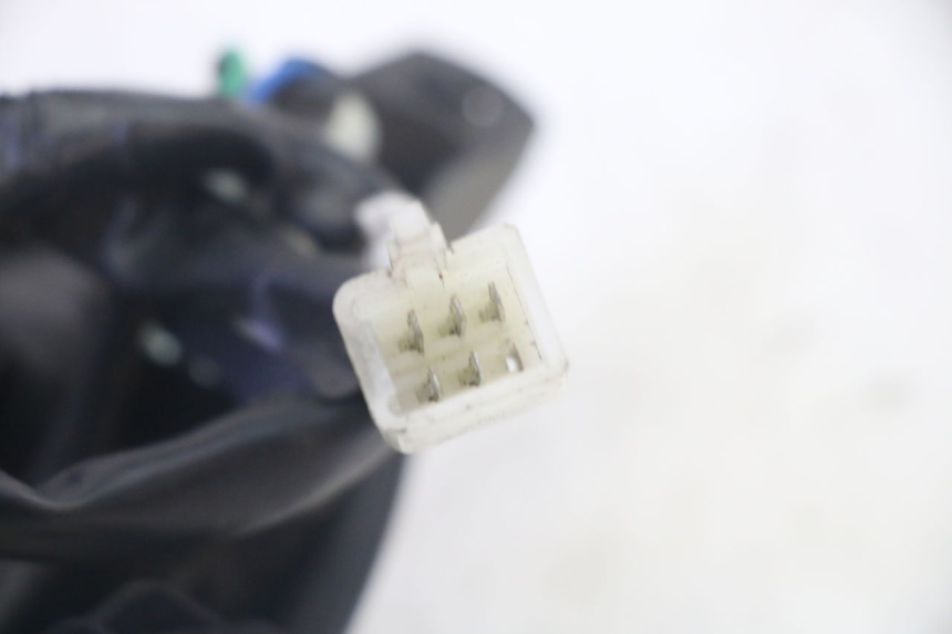 photo de FANALE STOP POSTERIORE  PEUGEOT TWEET PRO EFI 4T 50 (2021 - 2022) - Stato della superficie e materiale