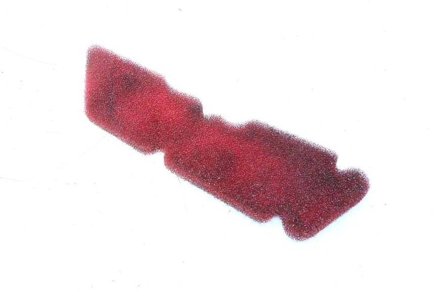 photo de ARIA FILTRO PIAGGIO ZIP 2T 50 (2009 - 2019) - Zoom sullo stato d'uso