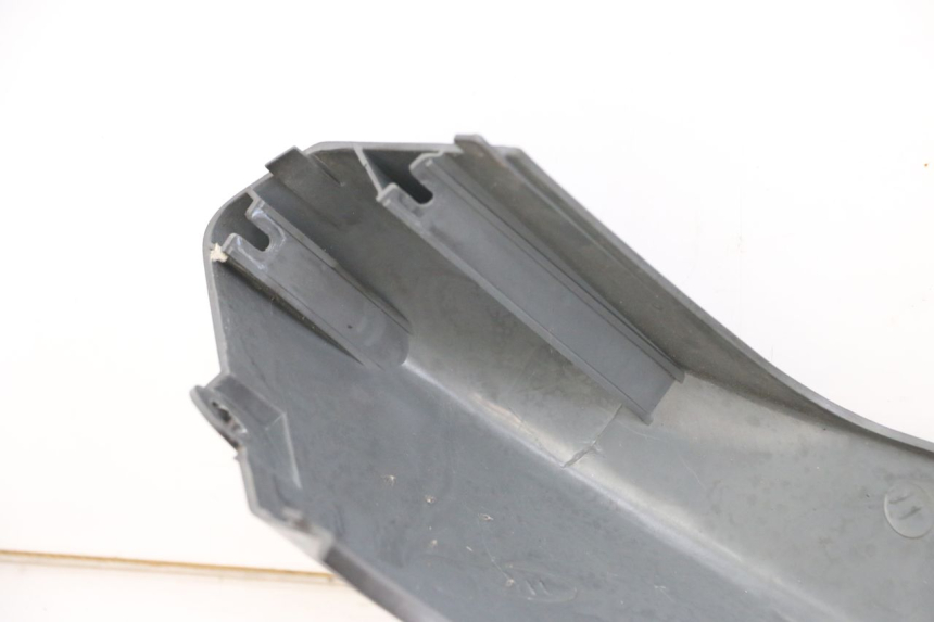 photo de PARAFANGO POSTERIORE DESTRO DAELIM A-FOUR 2T 50 (2005 - 2012) - Zoom sullo stato d'uso