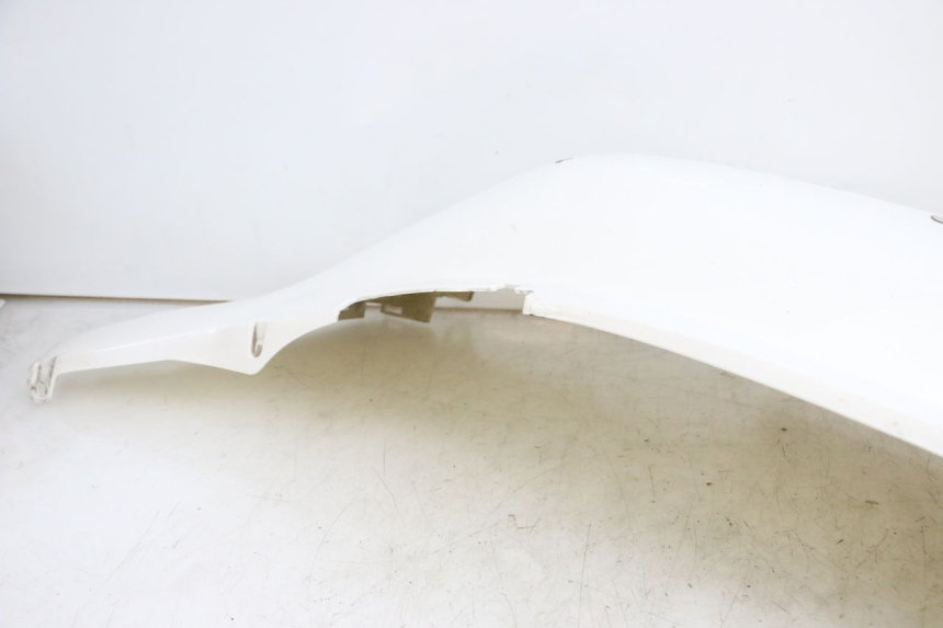 photo de PARAFANGO POSTERIORE DESTRO JONWAY AZTRAL 125 (2008 - 2017) - Stato della superficie e materiale