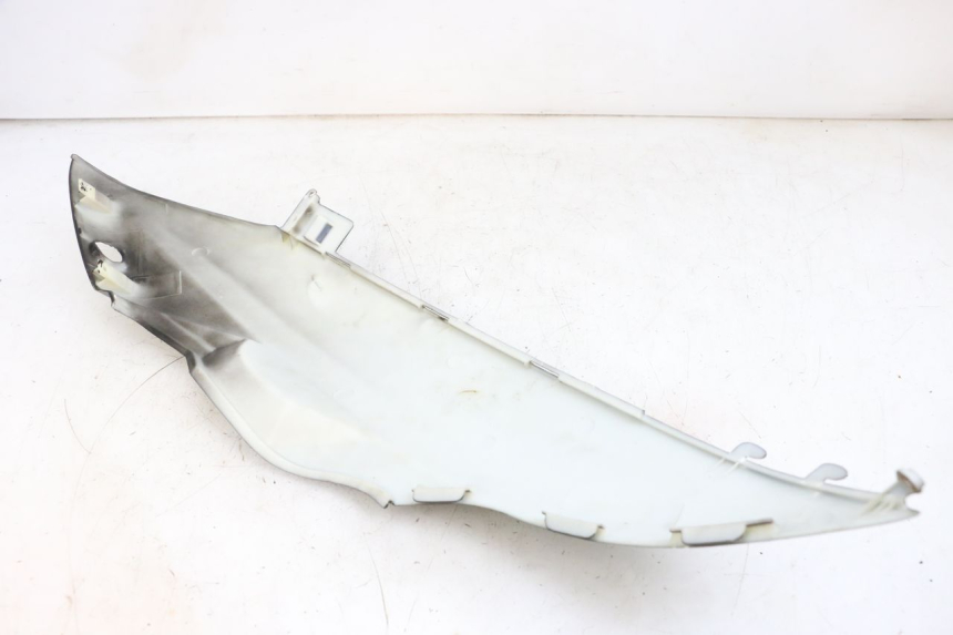 photo de PARAFANGO POSTERIORE DESTRO LONGJIA DIGITA 4T 50 (2019 - 2022) - Primo piano tecnico