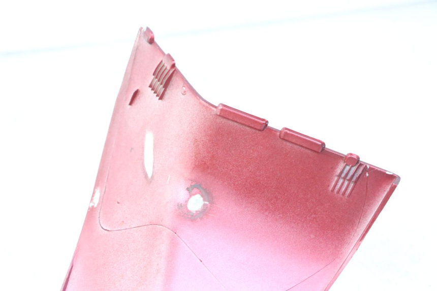 photo de CARENA POSTERIORE DESTRA PEUGEOT ELYSTAR 125 (2002 - 2007) - Dettaglio del componente