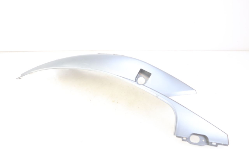 photo de PARAFANGO POSTERIORE DESTRO JM MOTORS EVOLIS 4T 50 (2018 - 2022) - Primo piano tecnico