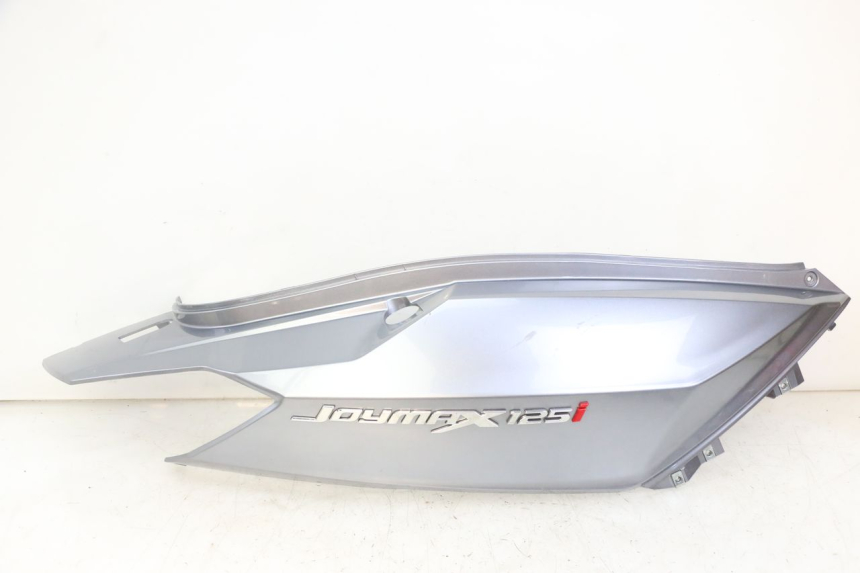 photo de CARENA POSTERIORE DESTRA SYM JOYMAX 125 (2010 - 2017) - Vista principale