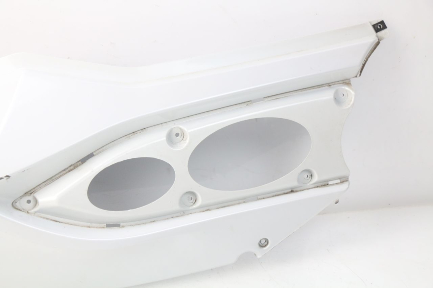 photo de PARAFANGO POSTERIORE DESTRO DAELIM S3 125 (2010 - 2017) - Zoom sui componenti