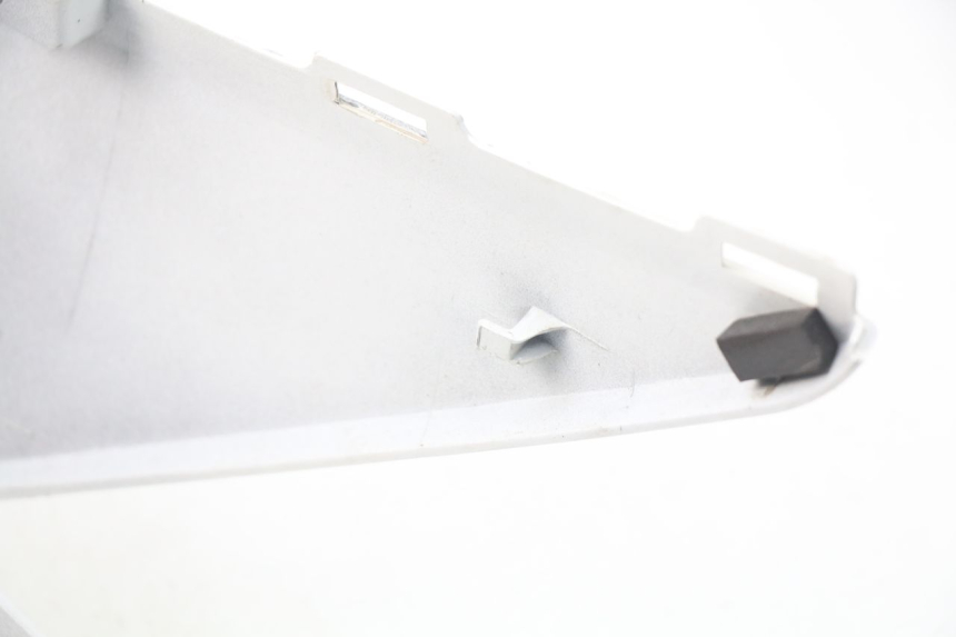 photo de PARAFANGO POSTERIORE DESTRO DAELIM S3 125 (2010 - 2017) - Zoom sullo stato d'uso