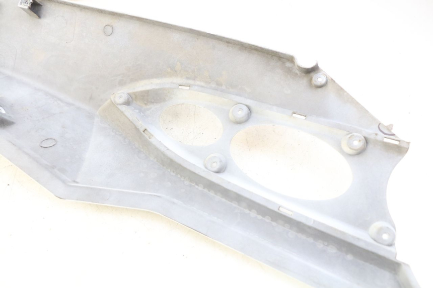 photo de PARAFANGO POSTERIORE DESTRO DAELIM S3 125 (2010 - 2017) - Dettaglio del componente