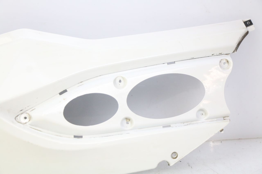 photo de PARAFANGO POSTERIORE DESTRO DAELIM S3 125 (2010 - 2017) - Primo piano ad alta risoluzione