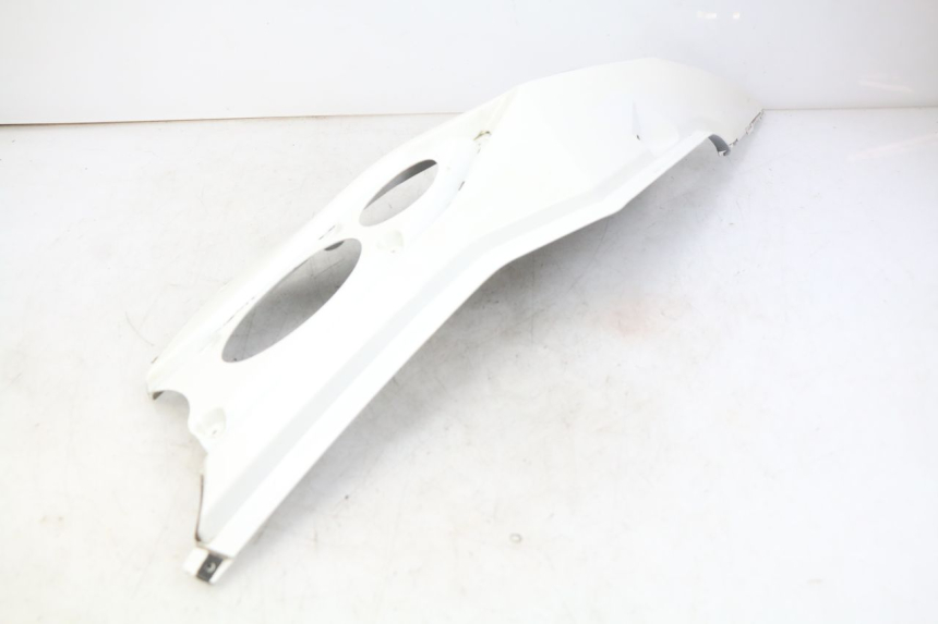 photo de PARAFANGO POSTERIORE DESTRO DAELIM S3 125 (2010 - 2017) - Stato della superficie e materiale