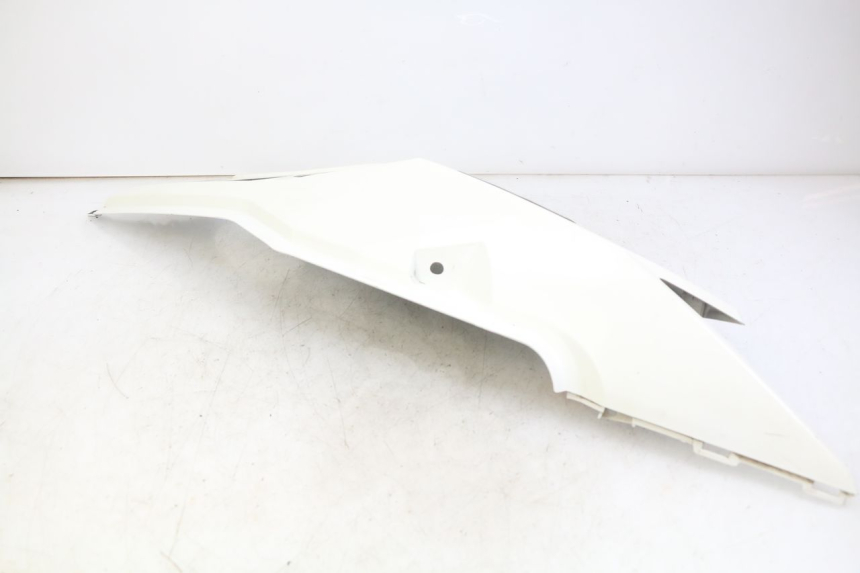 photo de PARAFANGO POSTERIORE DESTRO DAELIM S3 125 (2010 - 2017) - Ricambio usato controllato