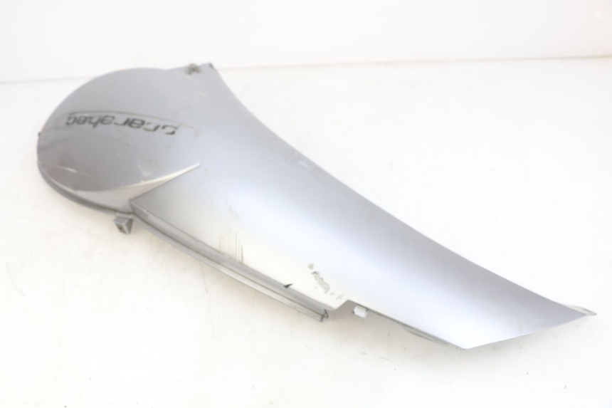 photo de PARAFANGO POSTERIORE DESTRO APRILIA SCARABEO LIGHT 125 (2007 - 2011) - Stato della superficie e materiale